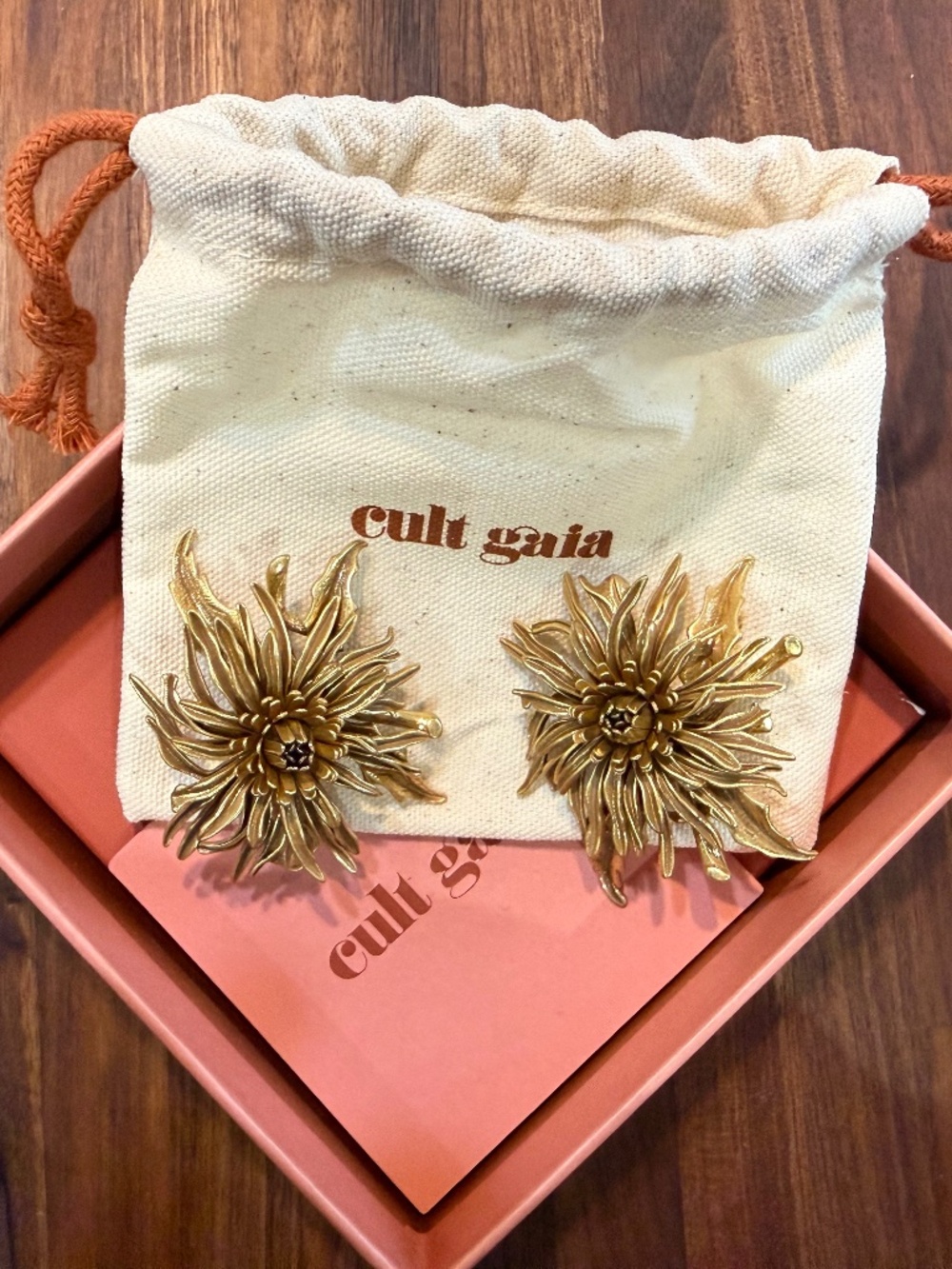 cult gaia Antique Brass Octavia Earrings